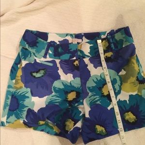 Loft Shorts